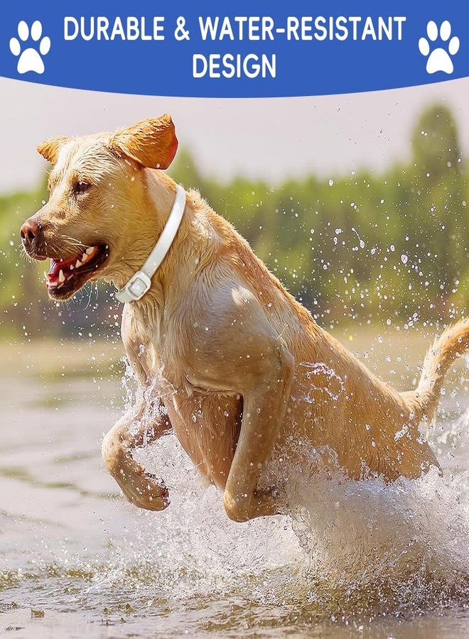 Qpets طوق كيو بيتس® للبراغيث والقراد للكلاب، طوق قابل للتعديل مضاد للقراد، مقاوم للماء، طوق سيليكون للحيوانات الأليفة، حماية طويلة الأمد، آمن ومريح للجراء والكلاب البالغة (طول 62 سم) - Image 5