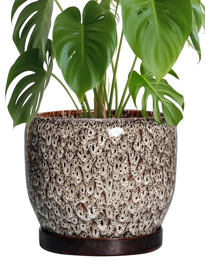 SQOWL Ceramic Plant Pots - 10 Inch Planter for Indoor Plants Outdoor, Large Flower Pots with Drainage Hole and Saucer, Decorative Round Planter, Apartment Decor, Garden Gifts for Women, White - Image 1