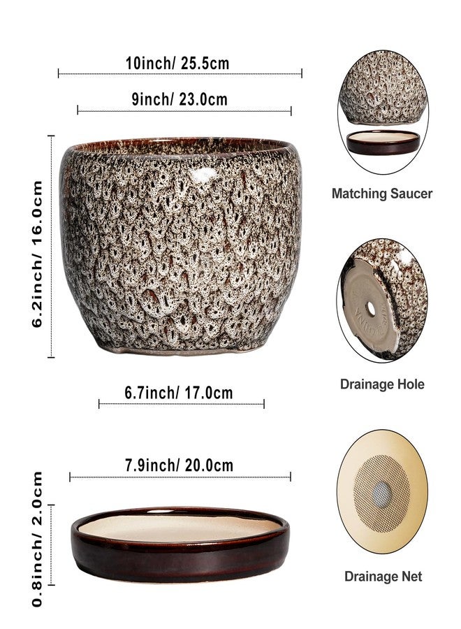 SQOWL Ceramic Plant Pots - 10 Inch Planter for Indoor Plants Outdoor, Large Flower Pots with Drainage Hole and Saucer, Decorative Round Planter, Apartment Decor, Garden Gifts for Women, White - Image 3