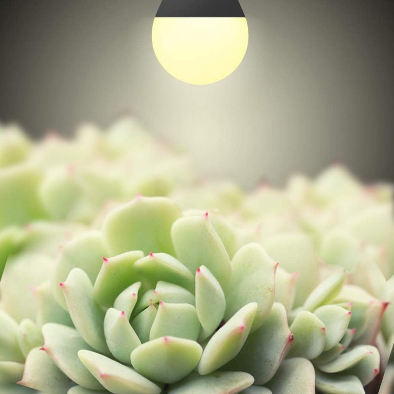 mfxmf 6 Pack LED Grow Light Bulbs A19 Bulb, Full Spectrum Plant Light Bulb, 9W E26 Grow Bulb Replace up to 80W, Grow Light for Indoor Plants, Flowers, Greenhouse, Indore Garden, Hydroponic - Image 2