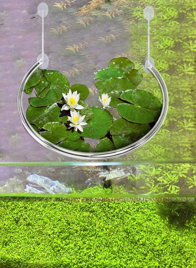 Hiyoo 2 Pack Aquarium Floating Plant Corral, Floating Plant Fence, Aquarium Plant Barrier, Separates Floating Plants, Auto Adjust Height with Water Level for All Floating Plants and Aquariums - Image 4