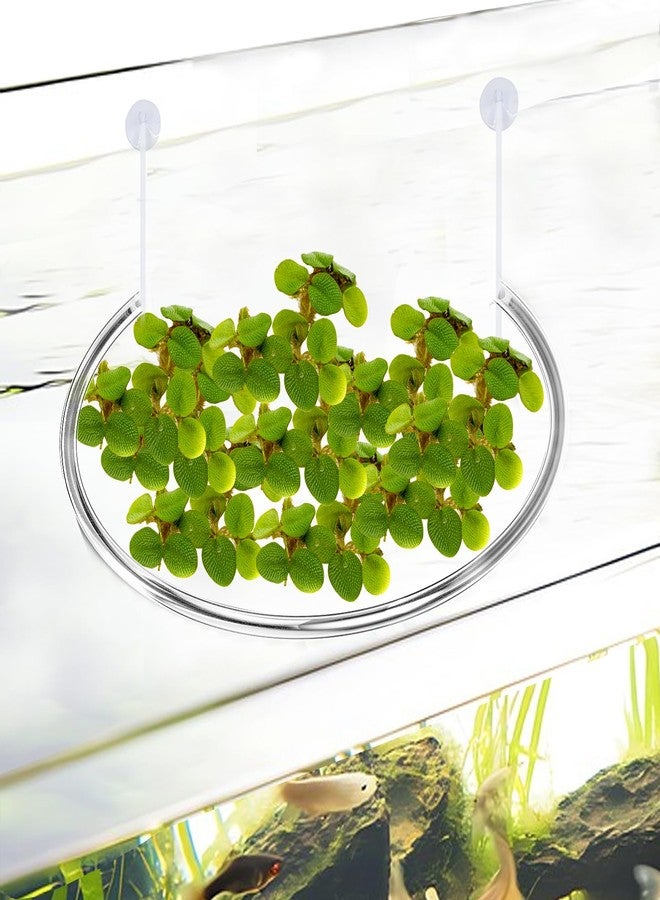 Hiyoo 2 Pack Aquarium Floating Plant Corral, Floating Plant Fence, Aquarium Plant Barrier, Separates Floating Plants, Auto Adjust Height with Water Level for All Floating Plants and Aquariums - Image 5
