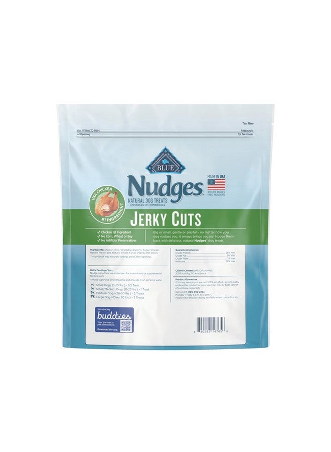 Blue Buffalo Nudges Jerky Cuts Natural Dog Treats, Chicken, 36Oz - Image 2