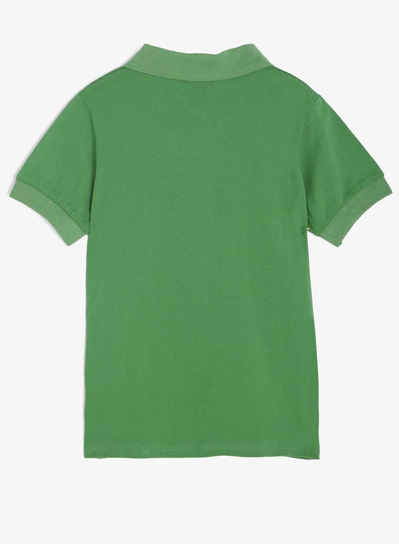 Pinata  Cute Dragon Print Cotton Polo Tshirt for Men | Best Price UAE