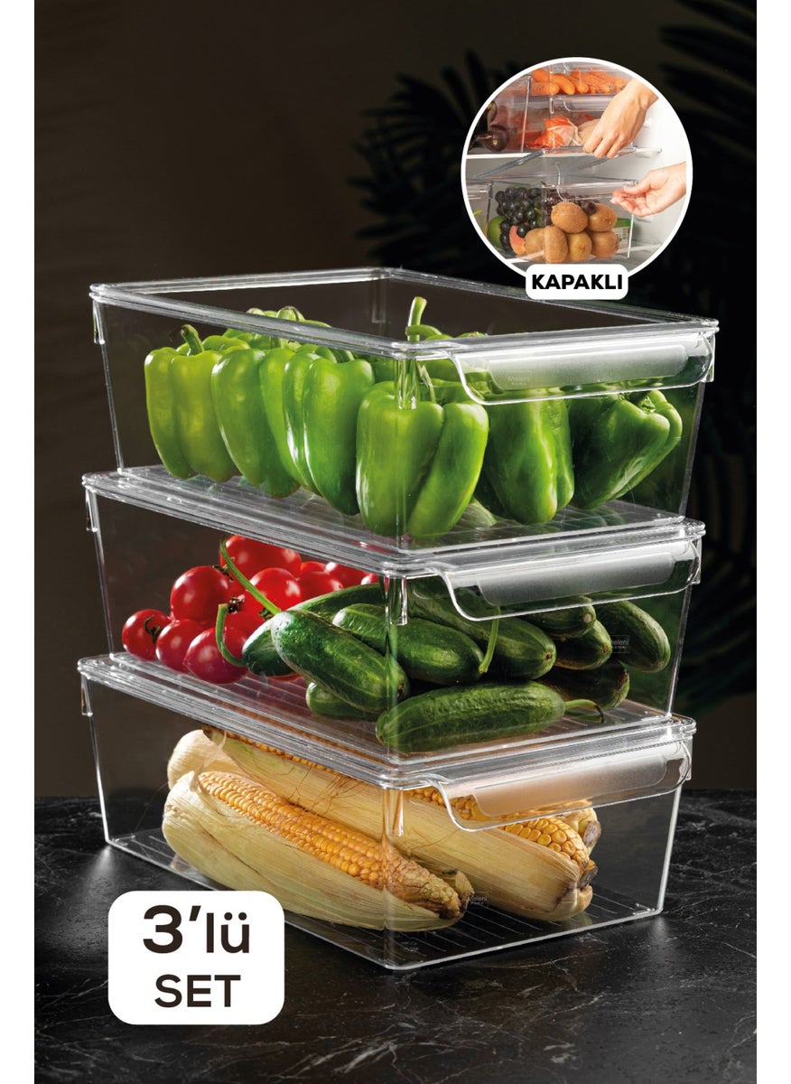 Set of 3 Covered Refrigerator Organizer Inside the Refrigerator Organizer 10 X 32,5 X 20 Cm - pzsku/Z2E4C636E3F43B6F536A9Z/45/_/1725794690/64d0db44-08ce-4df4-9762-09783e1c5150