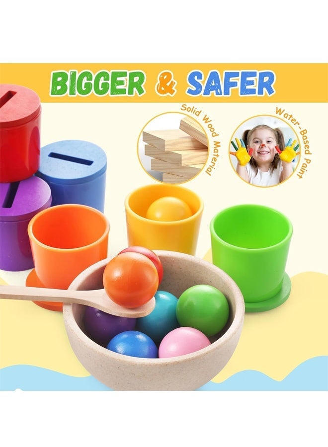 هالامودو كرة مونتيسوري في كأس فرز اللون لعبة للأطفال الصغار كرة قوس قزح خشبية اللون مطابقة لعبة، فرز لعبة صندوق عملة مطابقة لعبة للأطفال الصغار عمر 1-3، لعبة الحسية للأطفال الرضع - Image 3