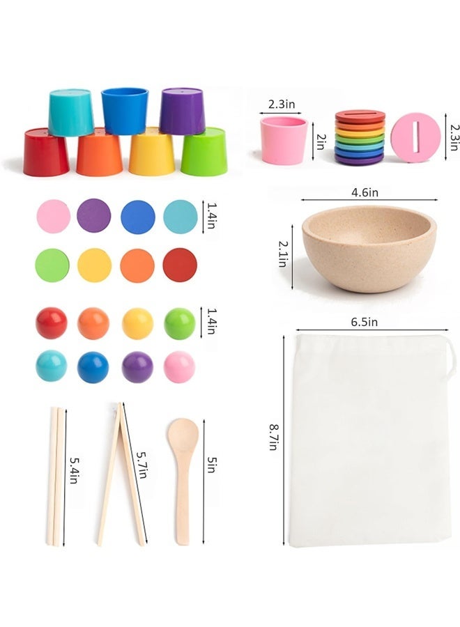 هالامودو كرة مونتيسوري في كأس فرز اللون لعبة للأطفال الصغار كرة قوس قزح خشبية اللون مطابقة لعبة، فرز لعبة صندوق عملة مطابقة لعبة للأطفال الصغار عمر 1-3، لعبة الحسية للأطفال الرضع - Image 2