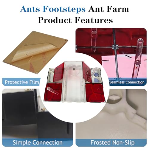 Ants Footsteps Ant Farm Nest Science DIY Terrarium Kit Care for Live Ants Ant Habitat with Water Tower Nurturing Room and Comprehensive Observation-Set 5 - Image 3