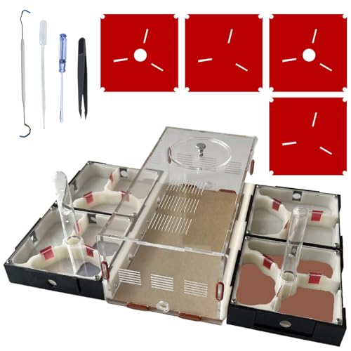Ants Footsteps Ant Farm Nest Science DIY Terrarium Kit Care for Live Ants Ant Habitat with Water Tower Nurturing Room and Comprehensive Observation-Set 5 - Image 1