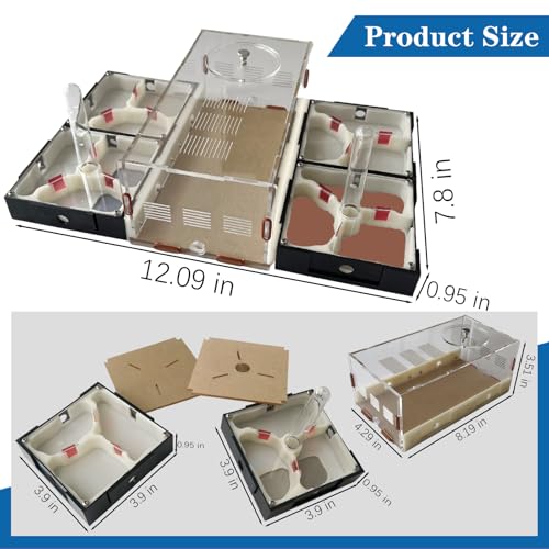 Ants Footsteps Ant Farm Nest Science DIY Terrarium Kit Care for Live Ants Ant Habitat with Water Tower Nurturing Room and Comprehensive Observation-Set 5 - Image 2