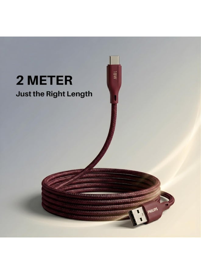 PHILIPS USB Type-A to Type-C Fast Charging Cable, 18W Fast Charging, Nylon Braided, 2m, Iron Red, DLC4160AI/94 Red - Image 3