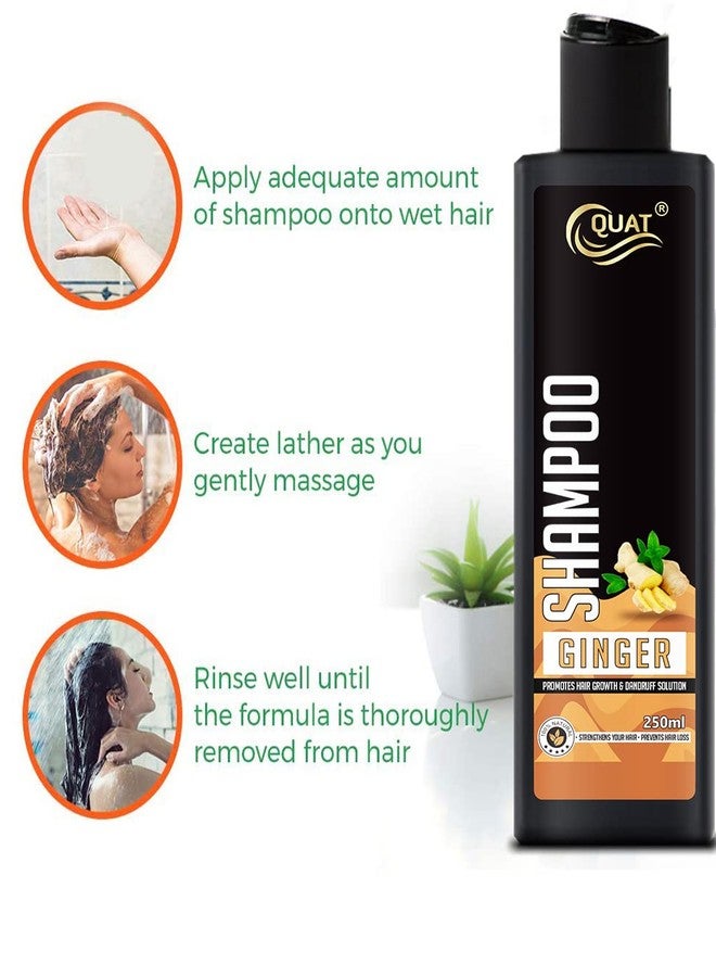 Quat Pure Ginger hair shampoo for promotes hair growth & dandruff solution (250ml) - Image 3