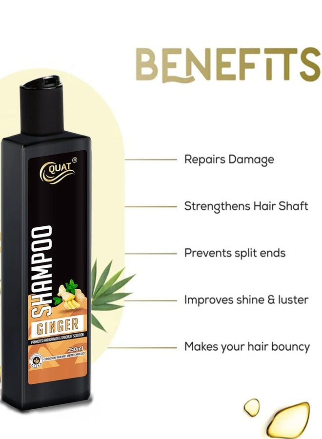 Quat Pure Ginger hair shampoo for promotes hair growth & dandruff solution (250ml) - Image 2