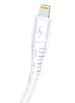 ANSTY iPhone Cable 