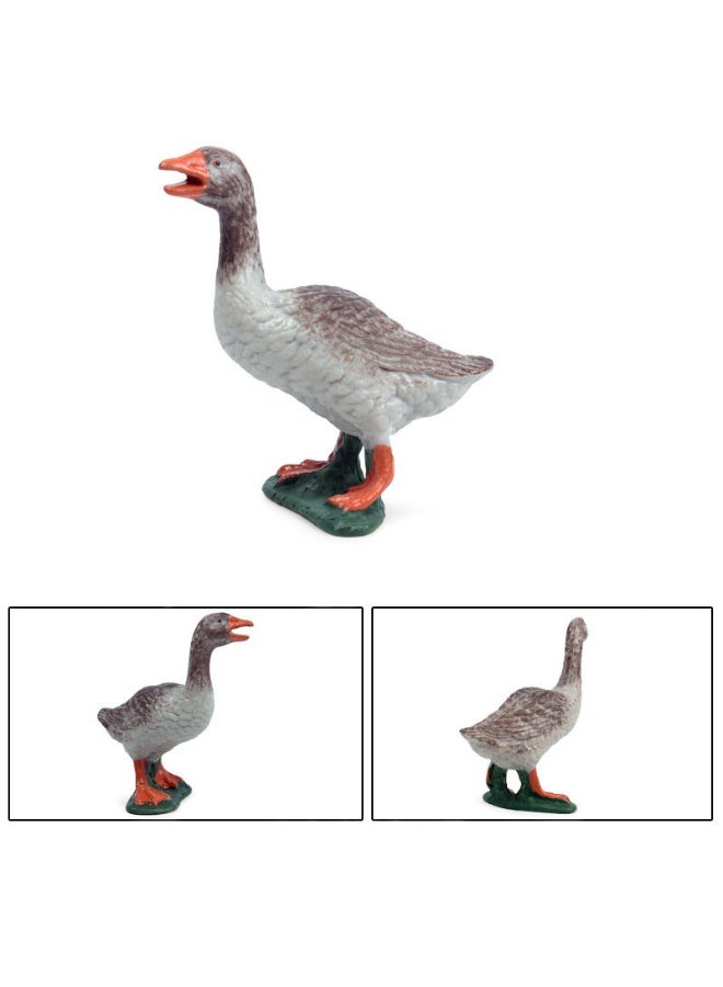 HALAMODO 6 PCS Poultry Animal Model Set , Realistic Solid Mini Farm Animal Toys, Poultry Action Figure Statues, Children Cognitive Simulation Educational Toys, Micro Cake Topper Decor, Kids Party Birthday Gift - Image 4