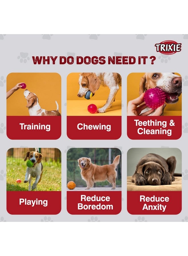 تريكسي لعبة كرة المضغ على شكل قنفذ، لعبة مضغ متينة غير سامة مصنوعة من الفينيل، مسامير ناعمة تساعد في تنظيف وتدليك اللثة، وتتحكم في المزيد من تراكم البلاك والجير - 10 سم (عبوة من 3 قطع) - Image 2