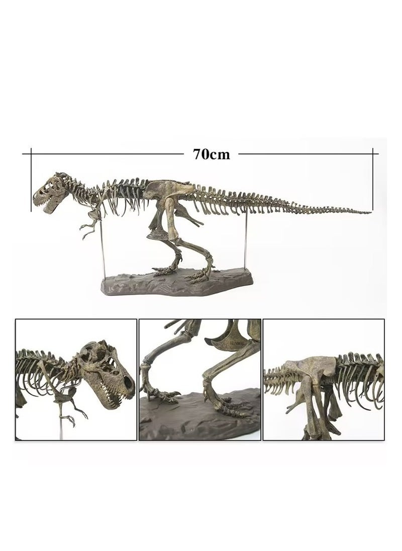 70*12*22CM Tyrannosaurus Rex Skeleton Fossil Toy Model, Large Dinosaur Assembly Pieces