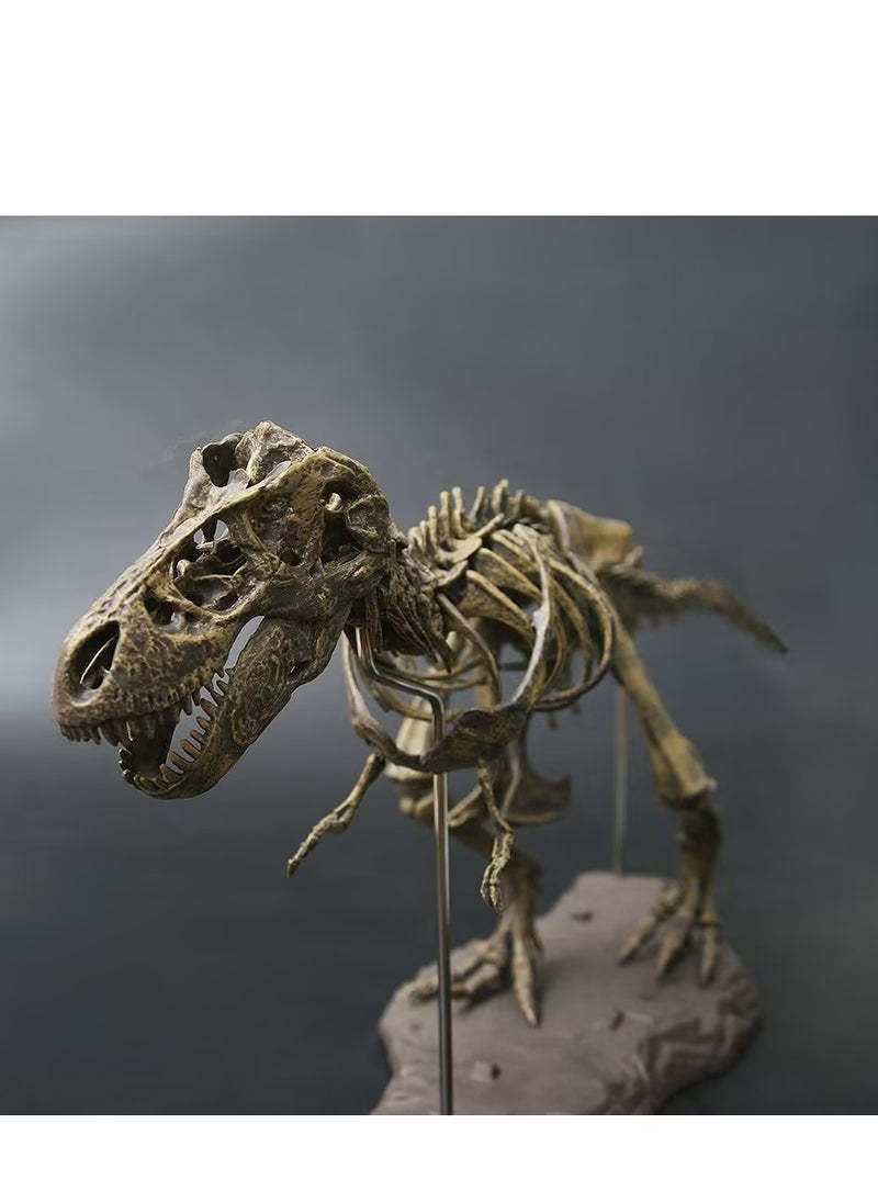 70*12*22CM Tyrannosaurus Rex Skeleton Fossil Toy Model, Large Dinosaur Assembly Pieces