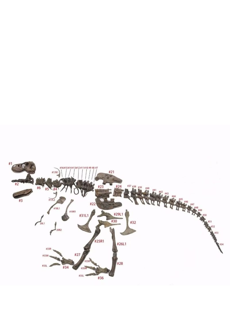 70*12*22CM Tyrannosaurus Rex Skeleton Fossil Toy Model, Large Dinosaur Assembly Pieces