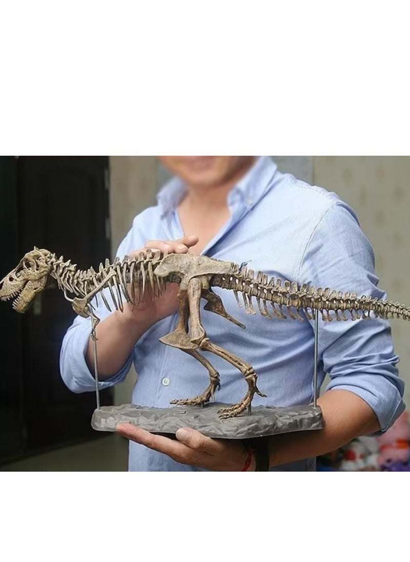 70*12*22CM Tyrannosaurus Rex Skeleton Fossil Toy Model, Large Dinosaur Assembly Pieces