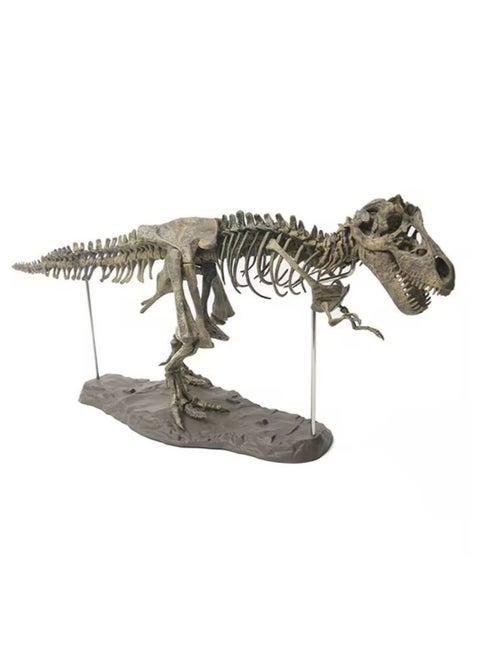70*12*22CM Tyrannosaurus Rex Skeleton Fossil Toy Model, Large Dinosaur Assembly Pieces