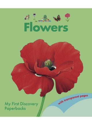 Flowers - pzsku/Z2E5A10E03A818221DDC0Z/45/_/1721296979/7a6bc166-423b-4f89-8fd5-eb2fe955ef9d