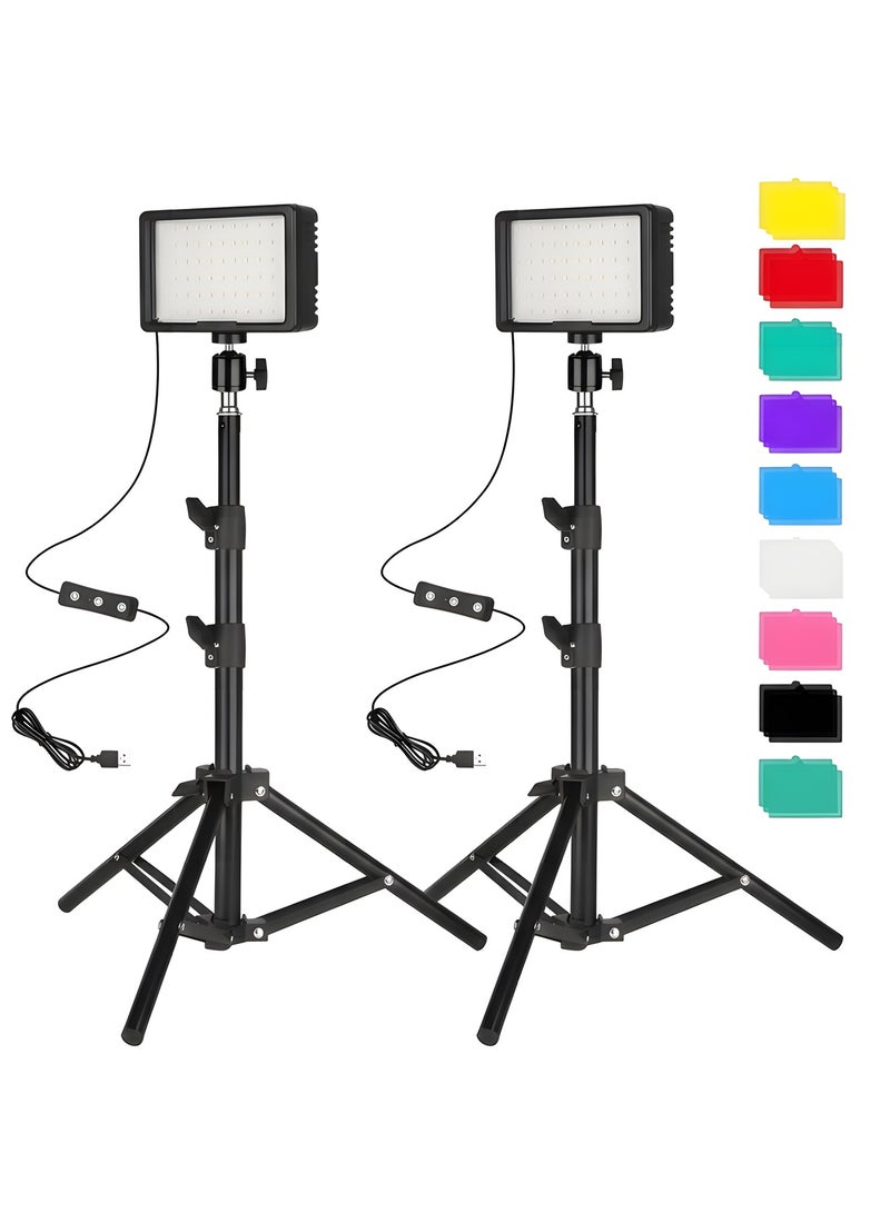 بيوينتي بيونتي مجموعة اضاءة LED للفيديو، مجموعة اضاءة للتصوير الفوتوغرافي، عبوة من قطعتين من مصابيح الاستوديو LED مع 66 خرزة موفرة للطاقة و18 فلتر لون لإضاءة التصوير الفوتوغرافي، مصابيح الاستوديو والضوء - Image 1