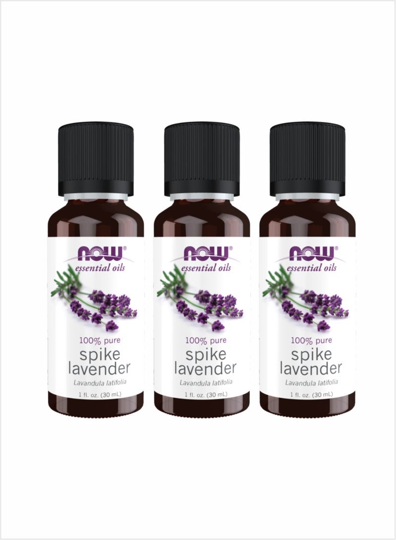 Now Essential Oils 100% Pure Spike Lavender Oil – 30ml (Pack of 3)