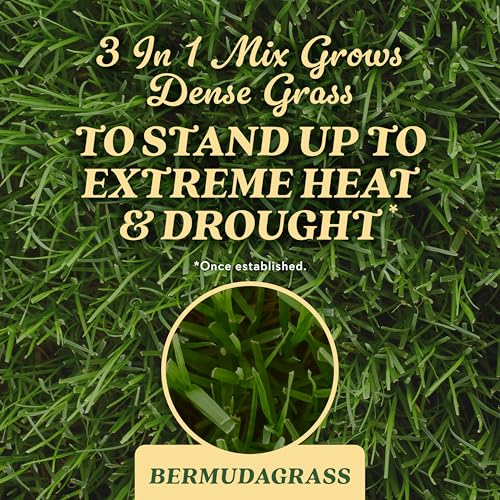 Scotts O.M. Scott and Sons Bermudagrass Grass Seed, Fertilizer and Soil Improver, Drought Tolerant Once Established, Covers Up to 2,000 sq. ft., 5 lbs. - Image 4