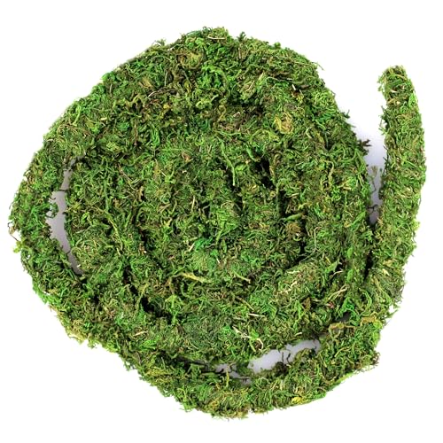 Galapagos Supermoss Galápagos (05266) MossVine, Real Moss Vine, 12FT, Green - Image 1