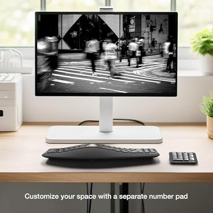 rayihni لوحة مفاتيح إرجونومية سكولبت - مصممة بواسطة مايكروسوفت - تصميم مجموعة مفاتيح مقسمة، مسند كف، تخطيط مقوس، زر ويندوز بلمسة واحدة، تشفير AES 128 بت، تشمل لوحة أرقام منفصلة - سوداء - Image 3