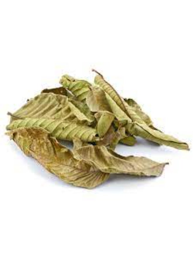 100% Pure & Dried Natural Guava Leaves – 500g