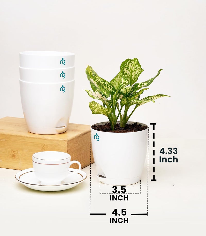 Nurturing Green® Combo of 8 Self Watering Flower Pots for Plants | Plastic Plant Pots | Planter Pots for Home, Indoor Living Room,Garden (Color: White, Size: 11.5cm x 11cm Each) - Image 3