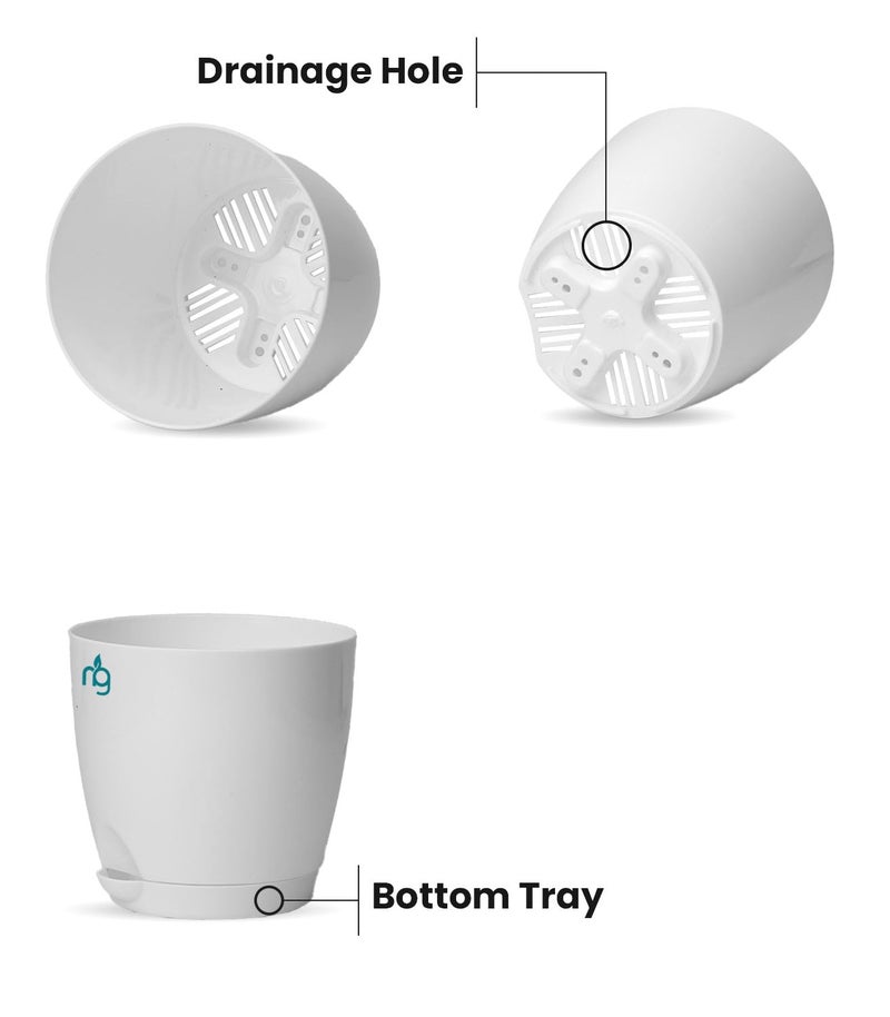 Nurturing Green® Combo of 8 Self Watering Flower Pots for Plants | Plastic Plant Pots | Planter Pots for Home, Indoor Living Room,Garden (Color: White, Size: 11.5cm x 11cm Each) - Image 2