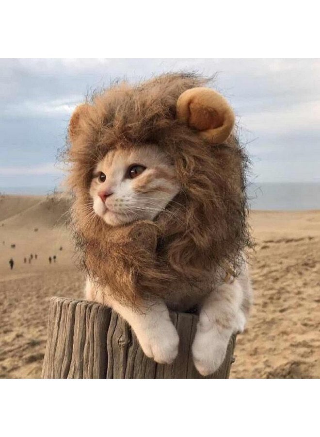 NAMSAN Lion Mane for Cat Small Dog Halloween Costume Cat Lion Mane Wig Lion King Hat Cosplay Kitten Outfit for Halloween Easter Holiday Party Activity - Image 2