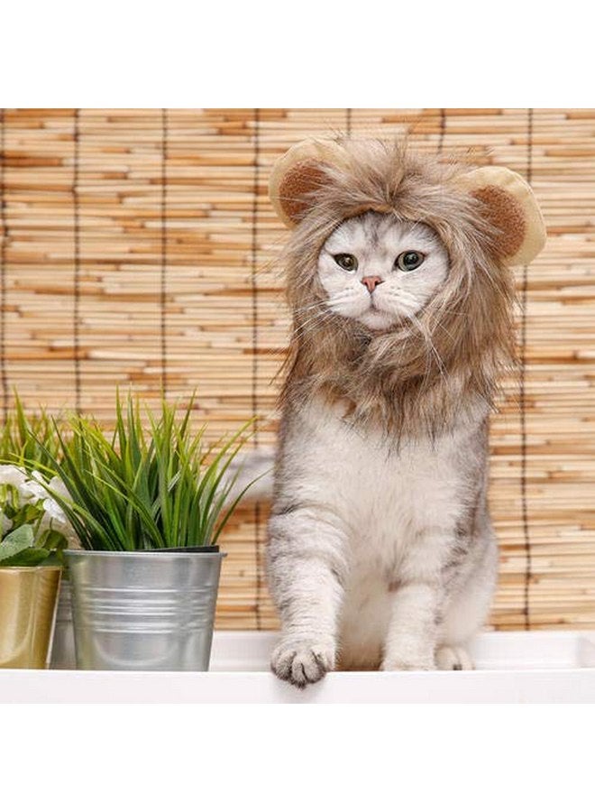 NAMSAN Lion Mane for Cat Small Dog Halloween Costume Cat Lion Mane Wig Lion King Hat Cosplay Kitten Outfit for Halloween Easter Holiday Party Activity - Image 5