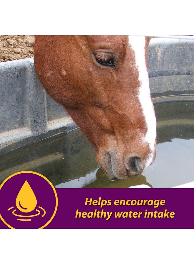 Farnam Horse Health AppleDex Apple Flavored Electrolytes For Horses 5 Pound - Image 4