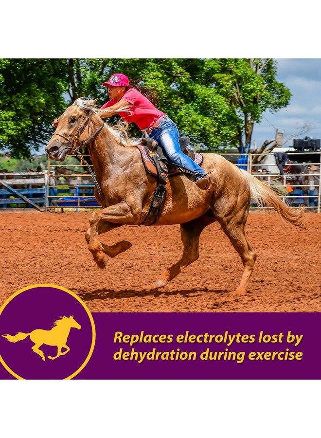 Farnam Horse Health AppleDex Apple Flavored Electrolytes For Horses 5 Pound - Image 2