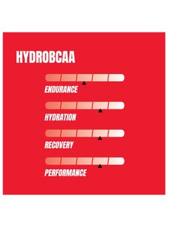 ProSupps PROSUPPS Hydro BCAA Plus Essentials 30 Serving Fruit Punch  - Image 2