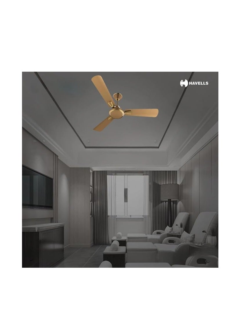 SUN SHINE crew deco export quality ceiling fan - Image 2