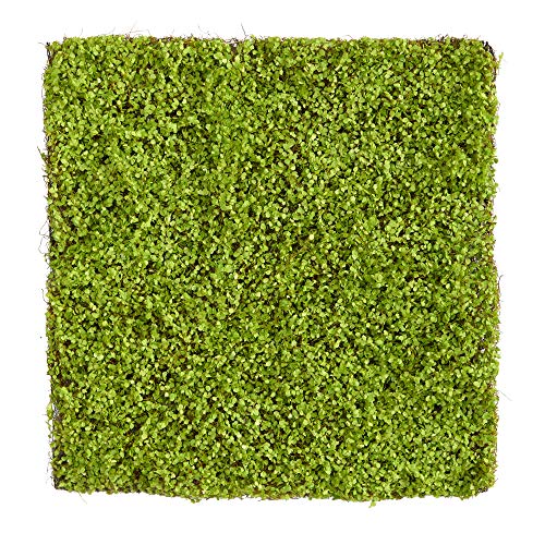 Nearly Natural Nearly Natural 20in. X 20in. Duckweed Artificial Wall Mat - Image 1