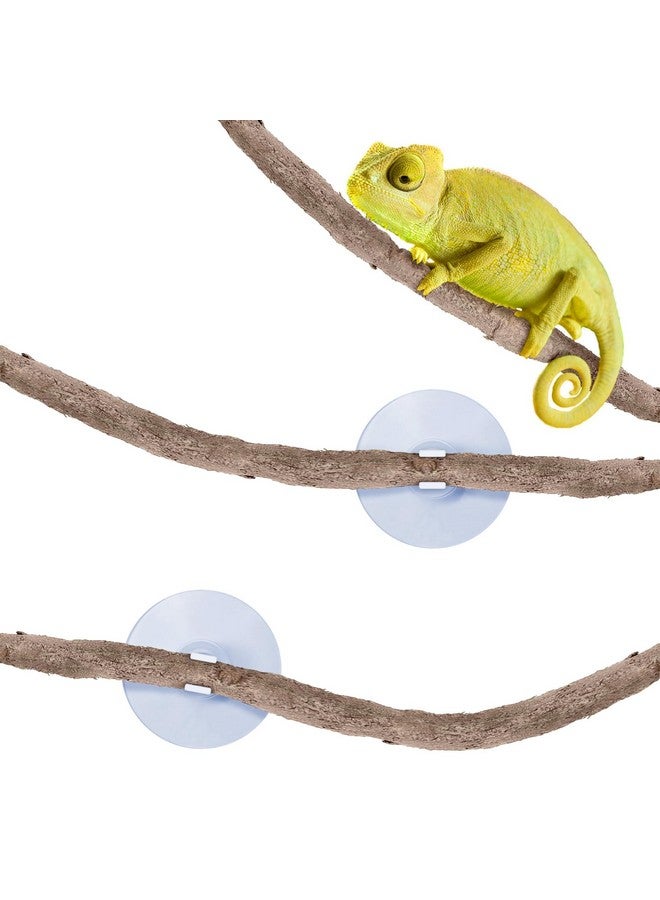 SunGrow 6 Ft Reptile Vine For Terrarium, Flexible Climber Lizard Tank Decor, Ball Python Snake Climbing Accessories, Twistable And Bendable Habitat Decor Terrarium Vines For Chameleon, Bearded Dragon - Image 1