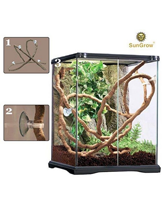 SunGrow 6 Ft Reptile Vine For Terrarium, Flexible Climber Lizard Tank Decor, Ball Python Snake Climbing Accessories, Twistable And Bendable Habitat Decor Terrarium Vines For Chameleon, Bearded Dragon - Image 5