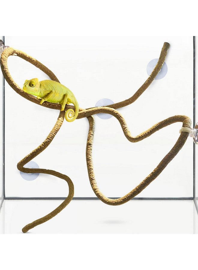 SunGrow 6 Ft Reptile Vine For Terrarium, Flexible Climber Lizard Tank Decor, Ball Python Snake Climbing Accessories, Twistable And Bendable Habitat Decor Terrarium Vines For Chameleon, Bearded Dragon - Image 3