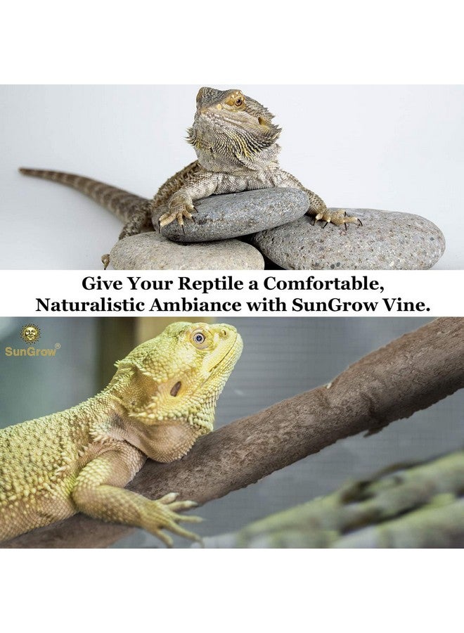 SunGrow 6 Ft Reptile Vine For Terrarium, Flexible Climber Lizard Tank Decor, Ball Python Snake Climbing Accessories, Twistable And Bendable Habitat Decor Terrarium Vines For Chameleon, Bearded Dragon - Image 4