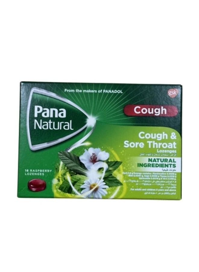 gsk Pananatural Lozenges 16S 