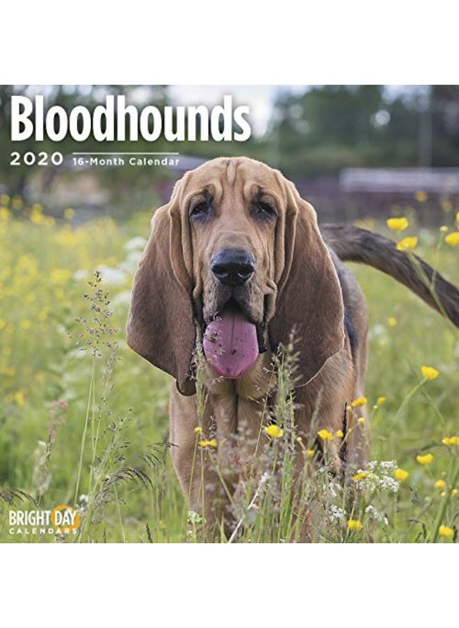 BLOODHOUNDS WALL CALENDAR 2020  - Image 1