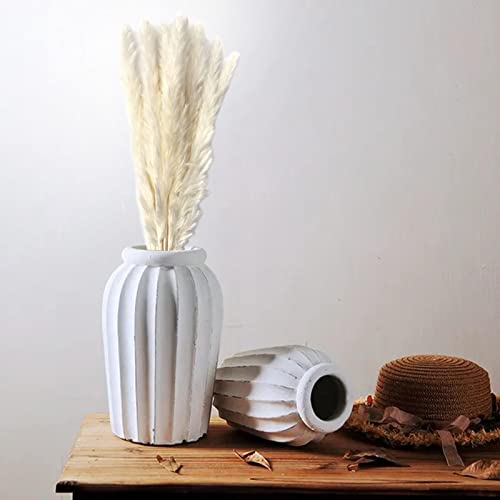 CALANDIS Dried Pampas Grass Bunch Bouquet Phragmites Reed Flower White 15Pcs | Dried Flowers | 1 Bag Natural Dried Pampas Grass - Image 5