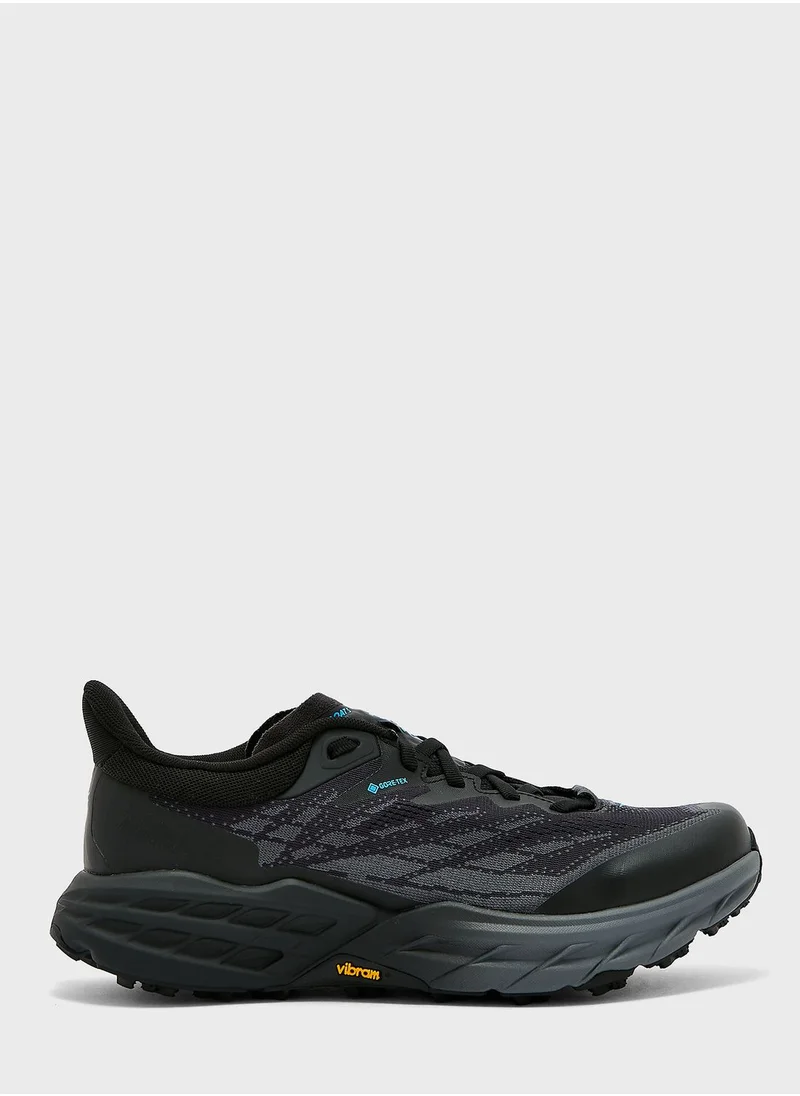 Hoka Gtx Speedgoat 5