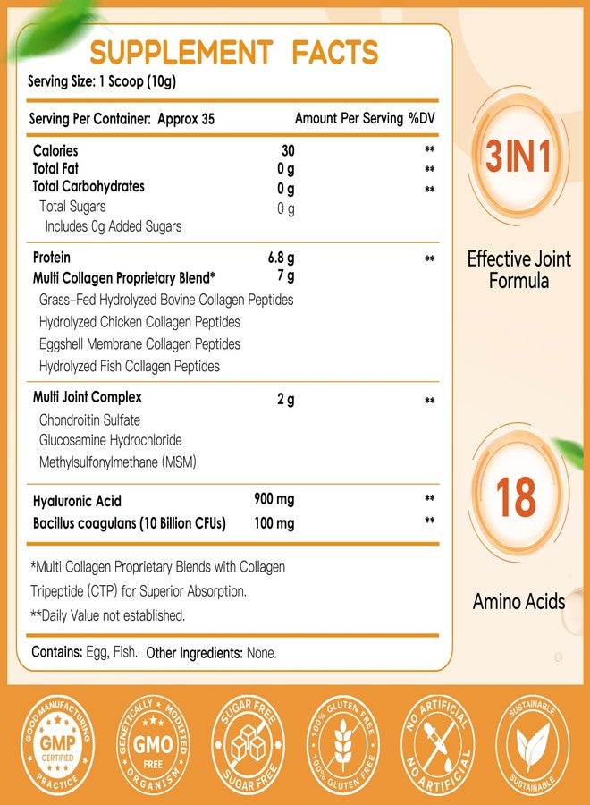 NATURE TARGET Multi-Collagen-Peptides-Powder for Joint Support, Hydrolyzed Collagen for Women Men with MSM + GC, Type I II III V X Collagen for Skin Hair & Nail, Non-GMO, 35 Servings - Image 2